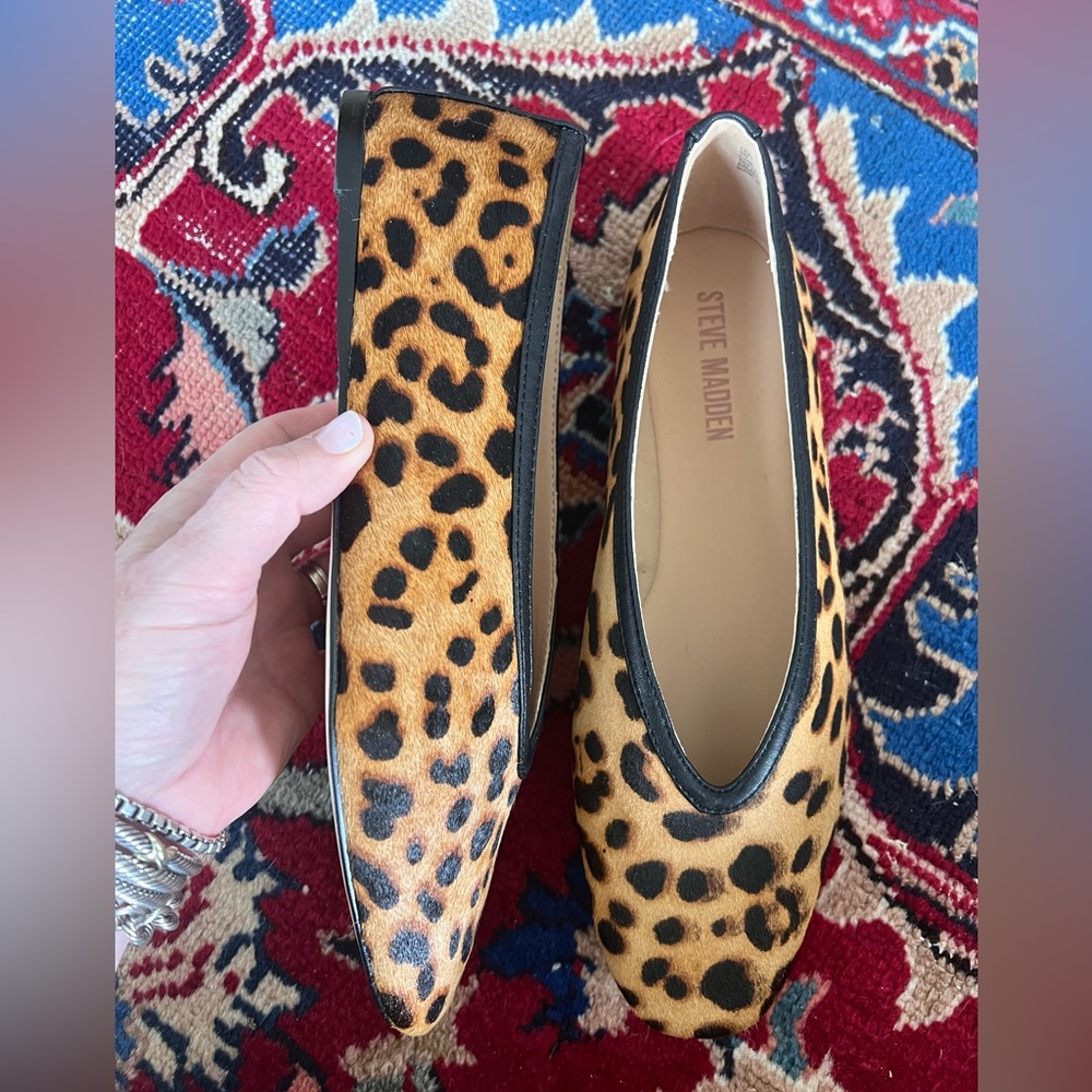 Leni Flats by Steve Madden in Leopard *brand new*